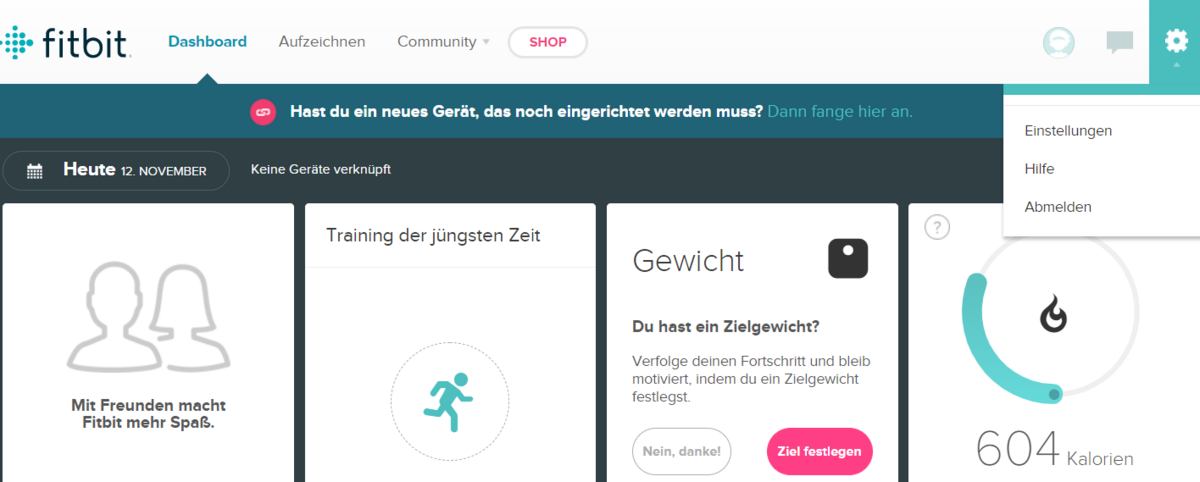 Screen Fitbiteinstellungen
