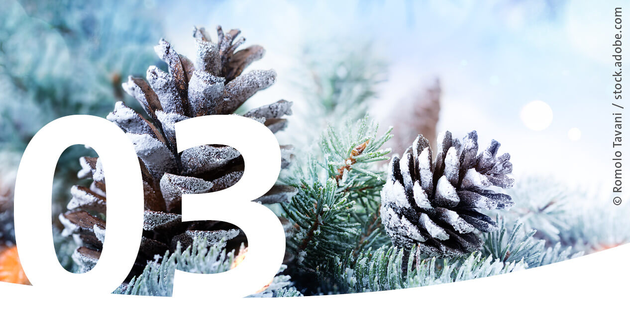 Ein winterlicher Tannenzweig mit Tannenzapfen als Bild für den 3. Dezember im Adventskalender.