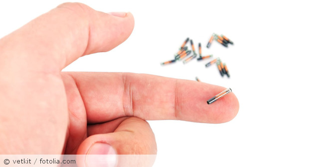 Eine Hand mit einen Chip-Implantat in der Fingerkuppe.