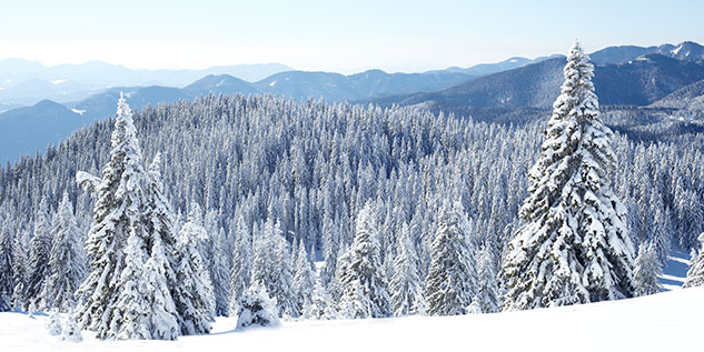 Ein Gebirge, wo die Bäume voller Schnee sind wir d von oben gezeigt.