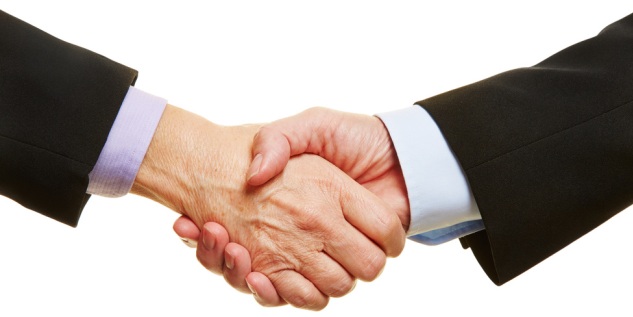 Zwei Männer geben sich gegenseitig die Hand.