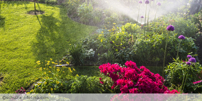 Ein Garten der mit einer Anlage bewässert wird.