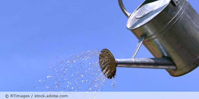 Gieskanne aus der Wasser läuft.