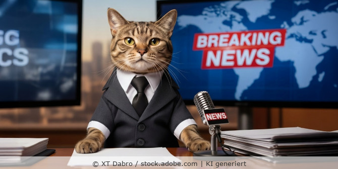 KI-generiertes Bilder einer Katze im Anzug als Nachrichtensprecher als Beispiel für ein Deepfake.
