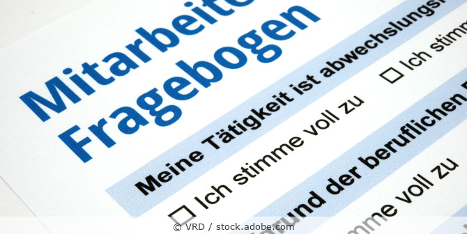 Ausschnitt von einem Fragebogen für Mitarbeiter.
